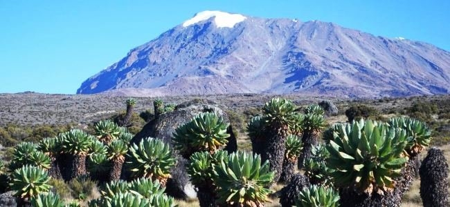 Kilimanjaro 2011
