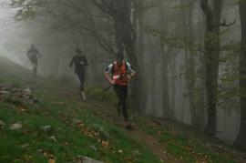 Hercules marathon ... Citius, Altius, Fortius