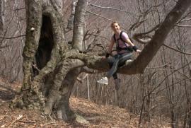 Muncind cu drag la Hercules si HCO{[]}Muncind cu drag la Hercules si HCO