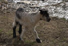 Muncind cu drag la Hercules si HCO{[]}Muncind cu drag la Hercules si HCO