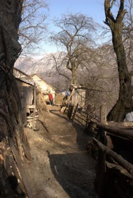 Muncind cu drag la Hercules si HCO{[]}Muncind cu drag la Hercules si HCO