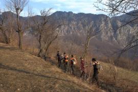 Muncind cu drag la Hercules si HCO{[]}Muncind cu drag la Hercules si HCO