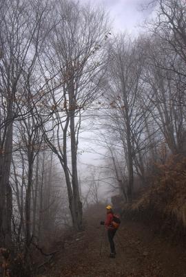 Pregatiri Hercules Maraton 27-28 feb{[]}Pregatiri Hercules Maraton 27-28 feb